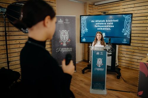 Erdélyi Perpatvar 2023