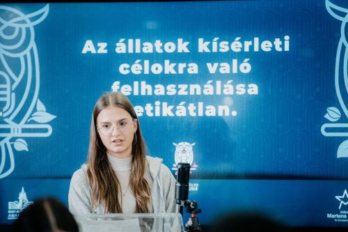 Erdélyi Perpatvar 2023