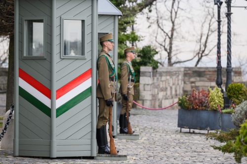 online BTZ 5124.jpg-masolata